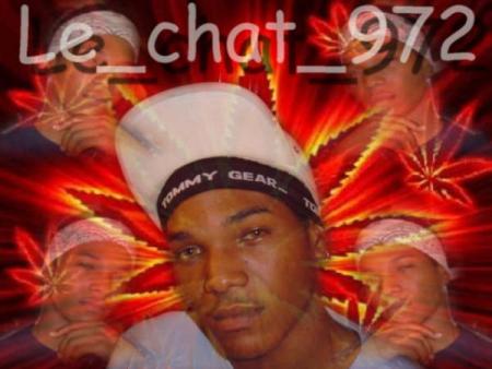 le_chat_972